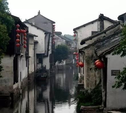 蓝色怪物救援